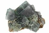 Purple/Green Fluorite Crystal Cluster - Rogerley Mine #132976-1
